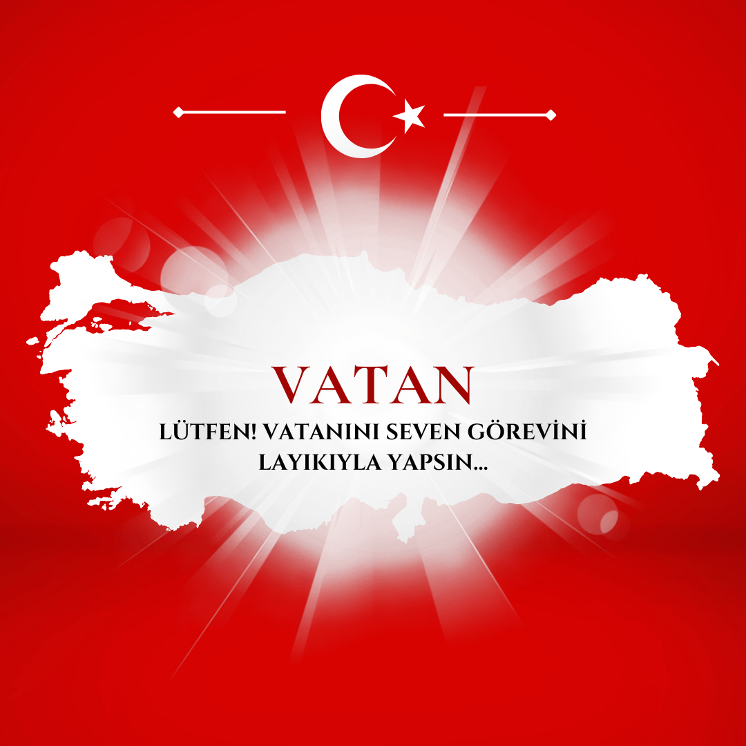 ALGIYLA YARATILMIŞ VATAN SEVGİSİ Resim
